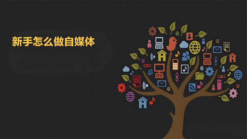 新手怎么做自媒体