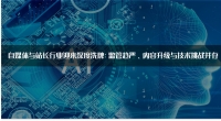  自媒体与站长行业迎来深度洗牌：监管趋严、内容升级与技术挑战并存
