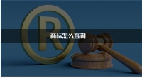 商标怎么查询