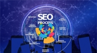 SEO新手必看！新站收录空白期优化全攻略